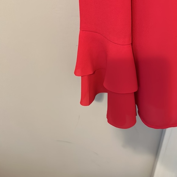 Ruffled Chest and Sleeve Blouse - Picture 2 of 5